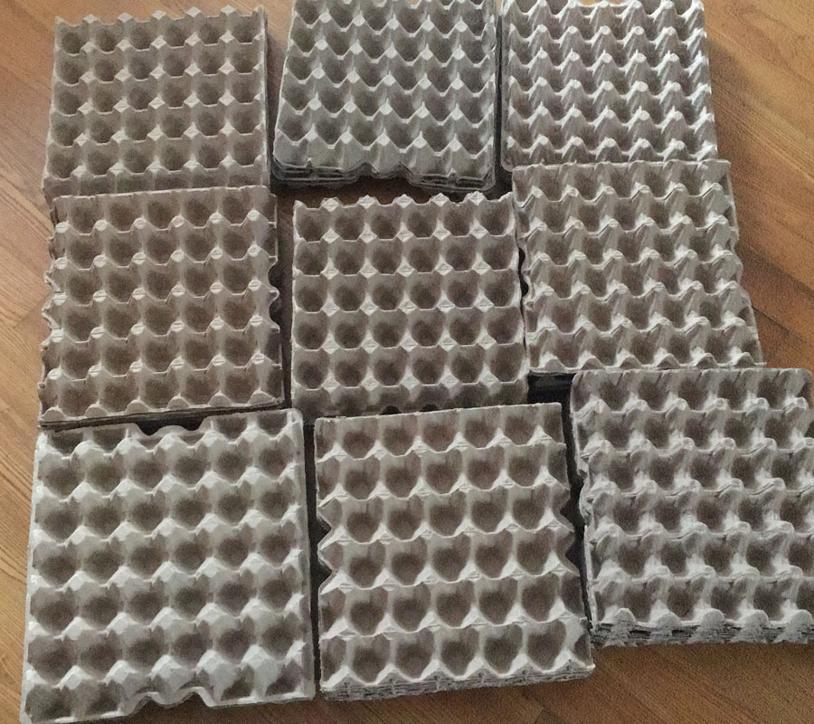 egg trays Custom Pulp Mould Pulp Mold Molded Pulp Tooling Pulp